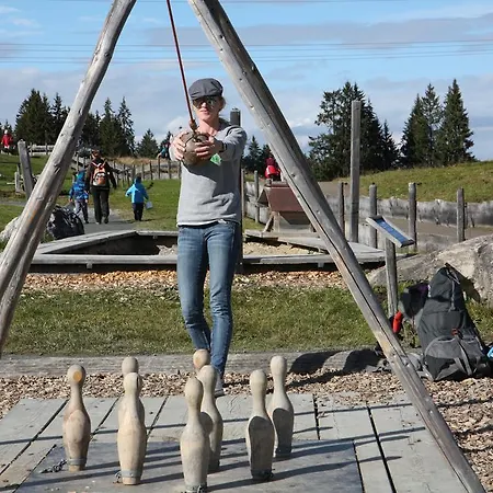 Gabriele 布利克森塔勒